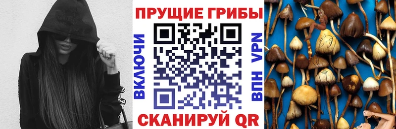 Псилоцибиновые грибы мухоморы  где можно купить   Белоярский 